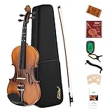 Eastar EVA-3 4/4 Violin with learning Point in Fingerplate with inlay,Matte