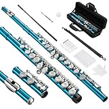 POGOLAB Flöte, C Flute mit geschlossenem Loch, Schülerflöte mit geteiltem E Offset-G, Flötentasche/Flötenreinigungsset/Probestab/Handschuhe/Fett, Nickelflöte für Schulband-Übungen (blau)