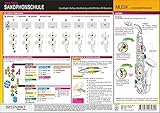 Saxophonschule - Grundlagen: Aufbau, Handhabung und Griffe beim Alt-Saxophon