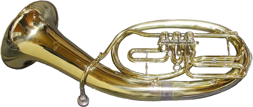 Tenorhorn Test